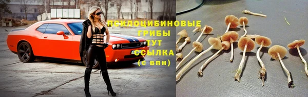 трава Медногорск