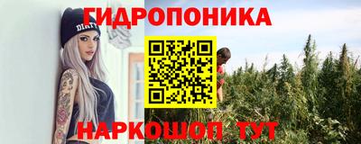 твердый Заводоуковск