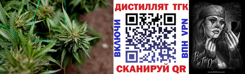 где купить наркотик  Севастополь  Дистиллят ТГК вейп с тгк 