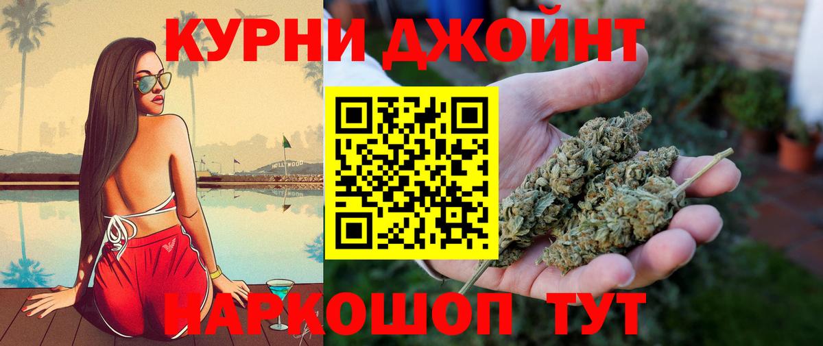 Конопля гибрид Севастополь